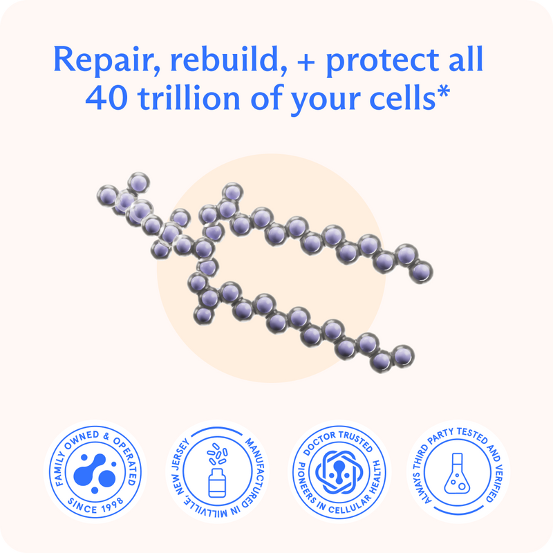 BodyBio PC (Phospholipid Complex) Liquid