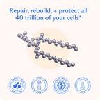 BodyBio PC (Phospholipid Complex) Liquid