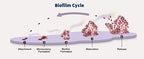 Ther-Biotic® InterFase® Plus