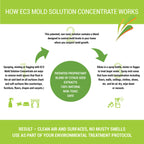 EC3 Mold Solution Concentrate