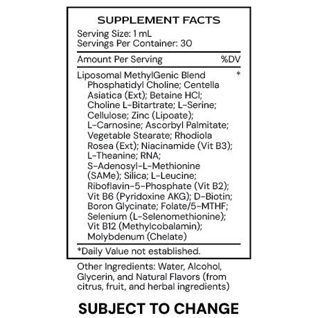 Liposomal MethylGenic