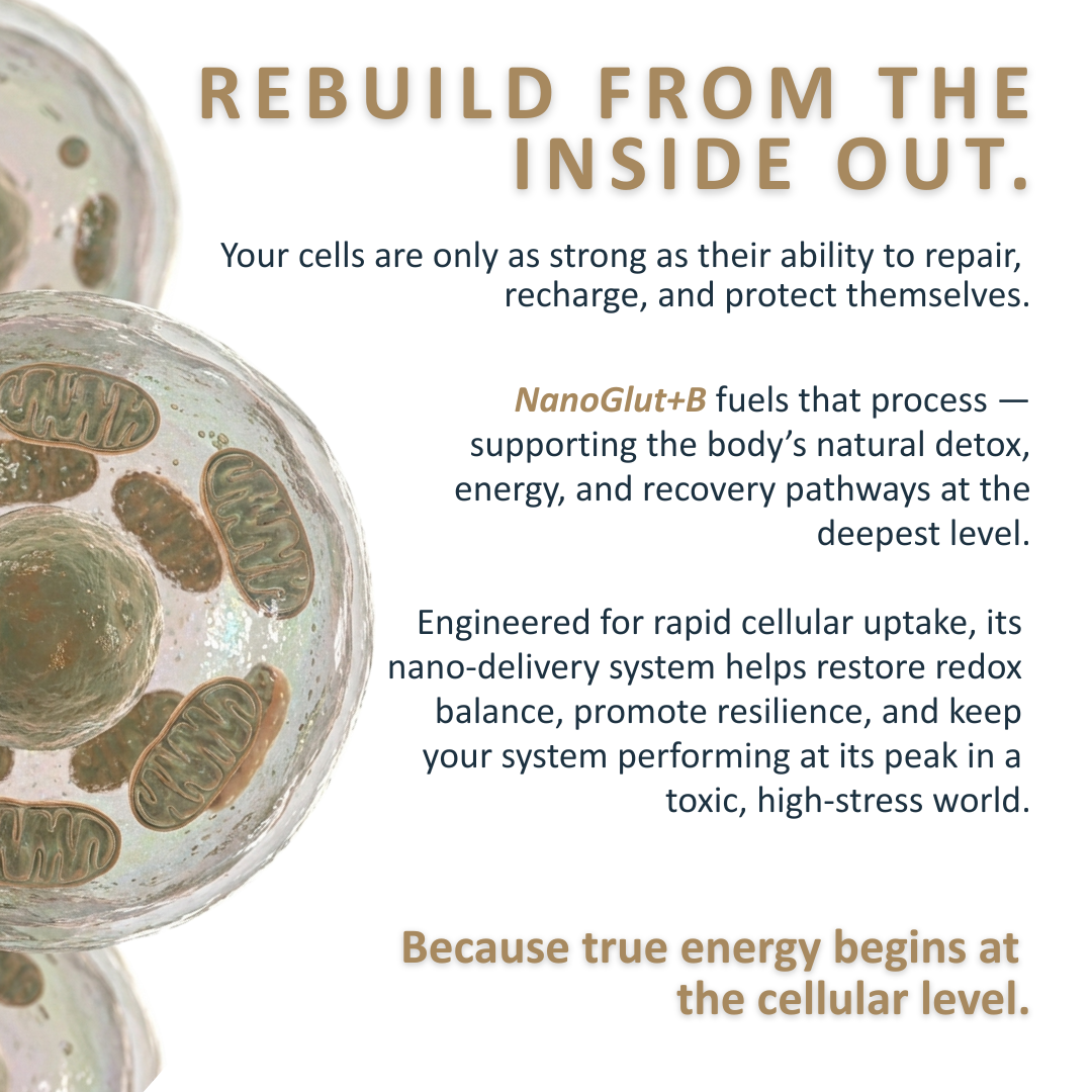 NanoGlut+B